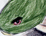 pic0001