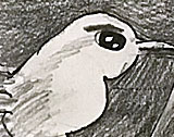 pic0027