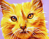 cat001