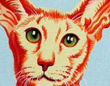 cat001