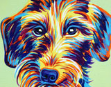 dog003