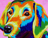 dog004
