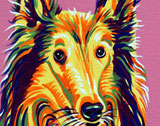 dog005